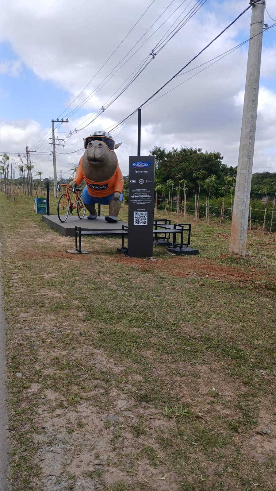 Mascote Eucatex